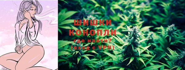 марки lsd Пересвет